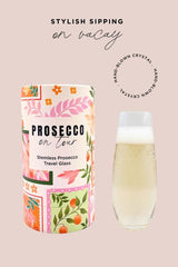 Stemless Crystal Travel Prosecco Glass